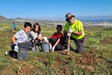 Telde planta 500 ejemplares de especies distintas en Calasio/TA.